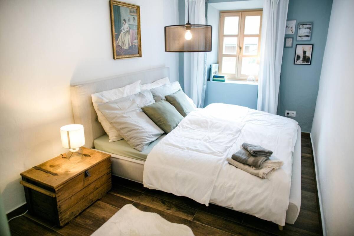 Apartment Aussee- Beletage Salzherrenhof- Kueche, Wlan, Netflix 巴特奥塞 外观 照片