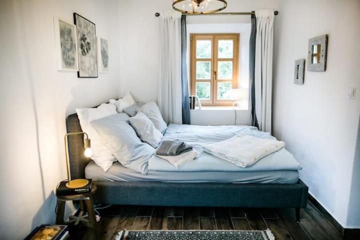 Apartment Aussee- Beletage Salzherrenhof- Kueche, Wlan, Netflix 巴特奥塞 外观 照片