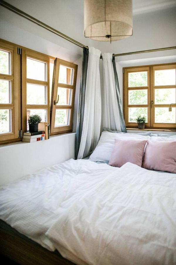 Apartment Aussee- Beletage Salzherrenhof- Kueche, Wlan, Netflix 巴特奥塞 外观 照片