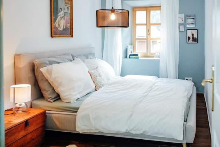 Apartment Aussee- Beletage Salzherrenhof- Kueche, Wlan, Netflix 巴特奥塞 外观 照片