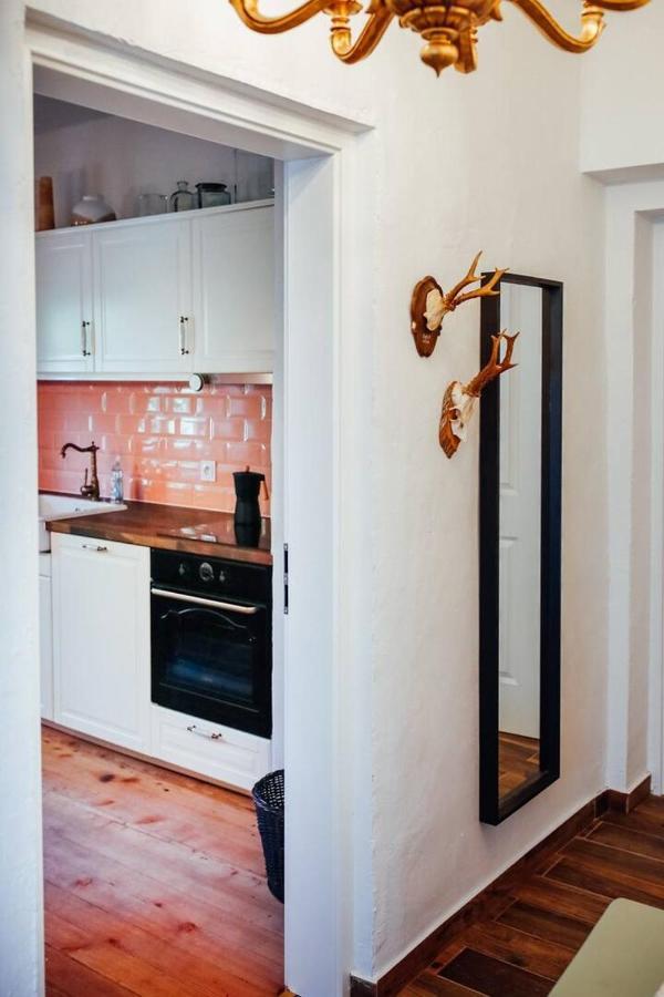 Apartment Aussee- Beletage Salzherrenhof- Kueche, Wlan, Netflix 巴特奥塞 外观 照片